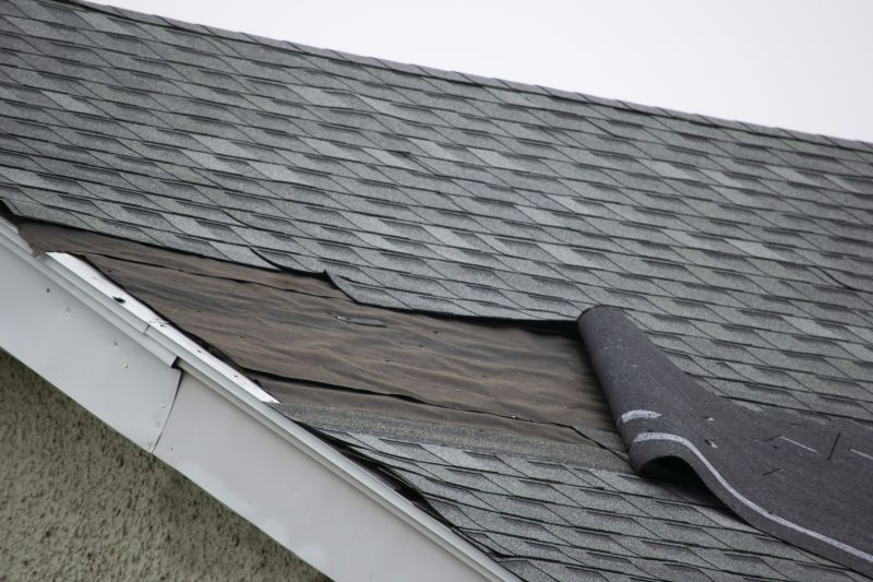 Replacing Damaged Shingles